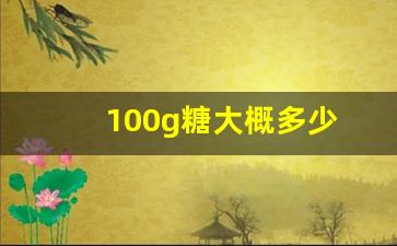 100g糖大概多少