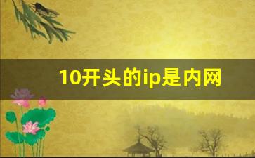 10开头的ip是内网还是外网