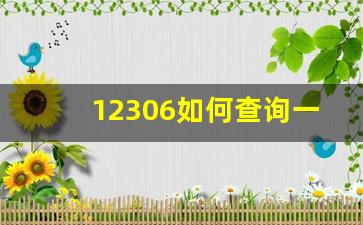 12306如何查询一年购买记录