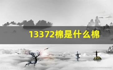 13372棉是什么棉