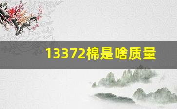 13372棉是啥质量