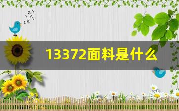 13372面料是什么意思_13372纯棉面料