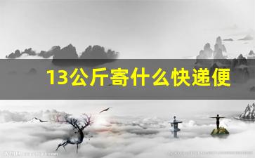 13公斤寄什么快递便宜_跨省大件行李怎么寄划算