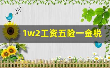 1w2工资五险一金税后_2023年个人所税计算器