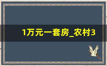 1万元一套房_农村3间平房2万6