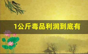 1公斤毒品利润到底有多大_贩毒一个月能挣20万么