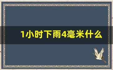 1小时下雨4毫米什么感觉_降水强度1毫米