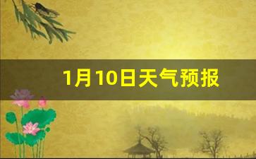 1月10日天气预报