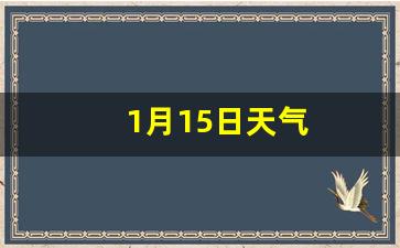 1月15日天气