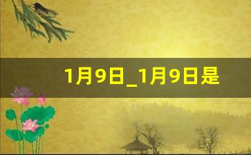 1月9日_1月9日是什么日子