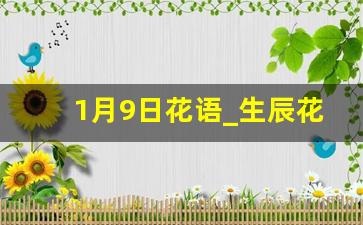 1月9日花语_生辰花大全及花语