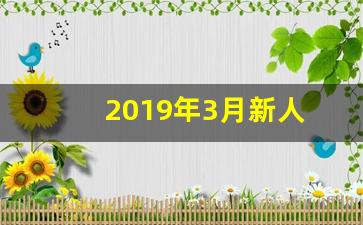 2019年3月新人