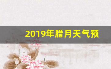 2019年腊月天气预报_2019年12月天气记录