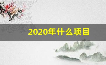 2020年什么项目