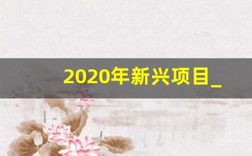 2020年新兴项目_2020年创业项目列表