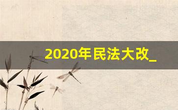 2020年民法大改_2020行政法会大改么