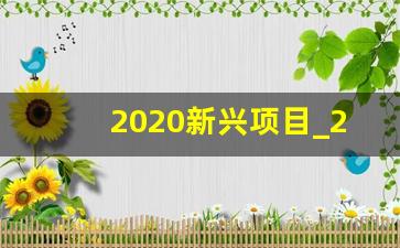 2020新兴项目_2020年什么项目