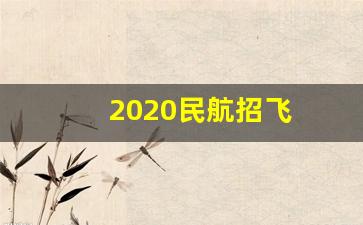 2020民航招飞