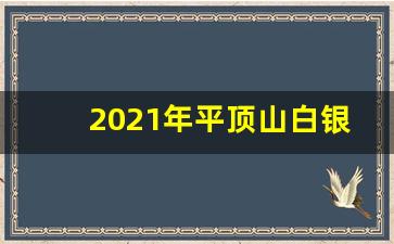 2021年平顶山白银路_平顶山白银路的去哪了