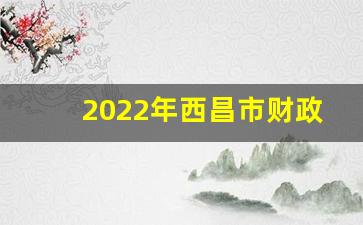 2022年西昌市财政收入