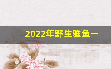 2022年野生雅鱼一斤多少