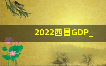 2022西昌GDP_2022年西昌市财政收入