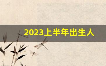 2023上半年出生人口跌至300万