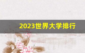 2023世界大学排行榜最新_usnews2024完整榜单