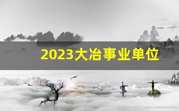 2023大冶事业单位近期招聘