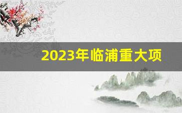 2023年临浦重大项目规划方案_临浦自由孔2023年拆迁