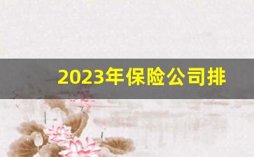 2023年保险公司排行榜_2023保险中介20强