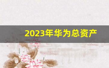 2023年华为总资产多少_华为公司年度报告