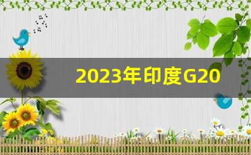 2023年印度G20峰会时间_2023年G20峰会什么时候召开