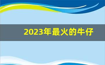 2023年最火的牛仔裤