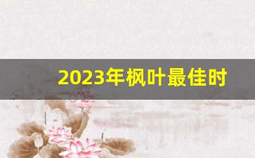 2023年枫叶最佳时间_苏州看红叶最好时间