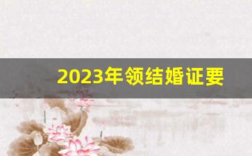 2023年领结婚证要求