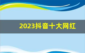 2023抖音十大网红