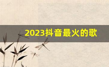 2023抖音最火的歌曲_二十首最走心的歌曲