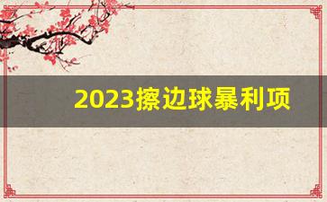 2023擦边球暴利项目