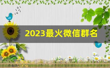 2023最火微信群名