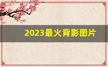 2023最火背影图片女