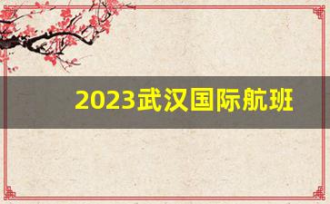 2023武汉国际航班恢复_武汉啥时候恢复韩国直飞