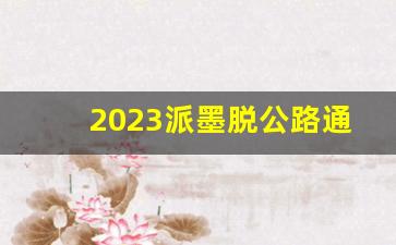 2023派墨脱公路通行规定