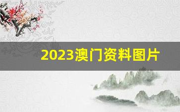 2023澳门资料图片