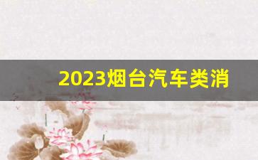 2023烟台汽车类消费券使用门店