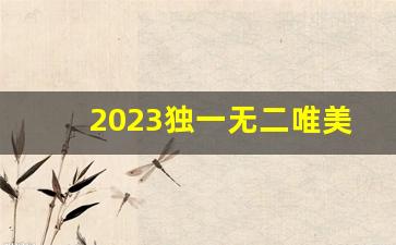 2023独一无二唯美的图片