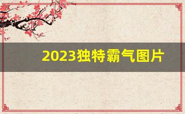 2023独特霸气图片_2023最新版霸气男生