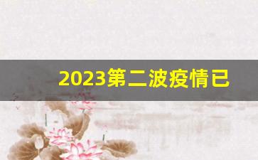 2023第二波疫情已经到来了吗_2023年下半年疫情还会爆发吗