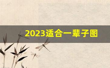 2023适合一辈子图片