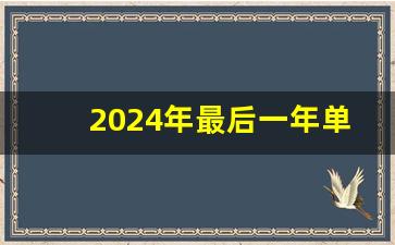 2024年最后一年单招